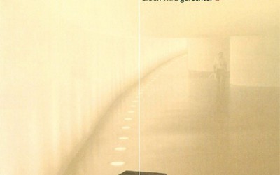 Die Reform der Erbschaftsteuer 2009